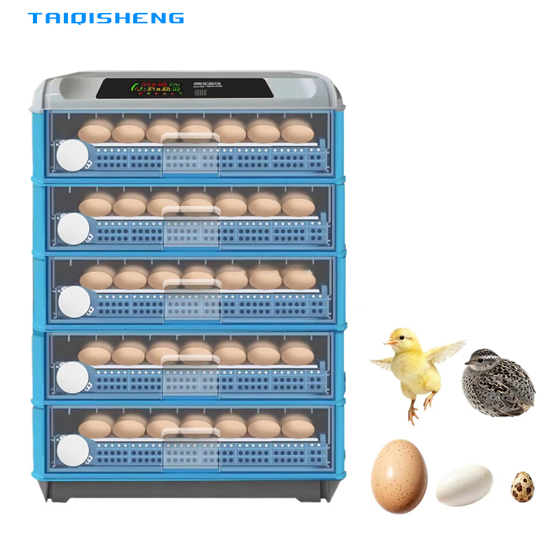 Automatic Intelligent 500 Egg  - đánh giá và giá Power Supply 12V